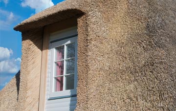 Wollerton thatch roof disadvantages
